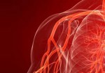 angiologia-itaquera-1415642033