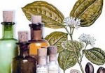 farmacias-de-homeopatia-itaquera-1415285959