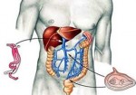 gastroenterologia-itaquera-1415200096