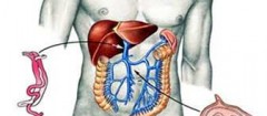 gastroenterologia-itaquera-1415200096