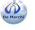 logo_dmarchi-1415287657