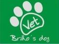 BRILHOS DOG - Foto 1