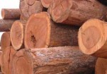 madeiras-e-madeireiras-itaquera-1420656335