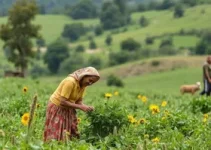 Ciclos: O Tempo Feminino da Agroecologia