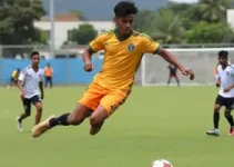 escolas de samba rebaixadas