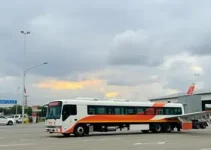 linha da Pêssego Transportes