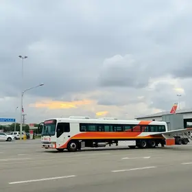 linha da Pêssego Transportes