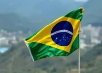 menino de 11 anos atropelado